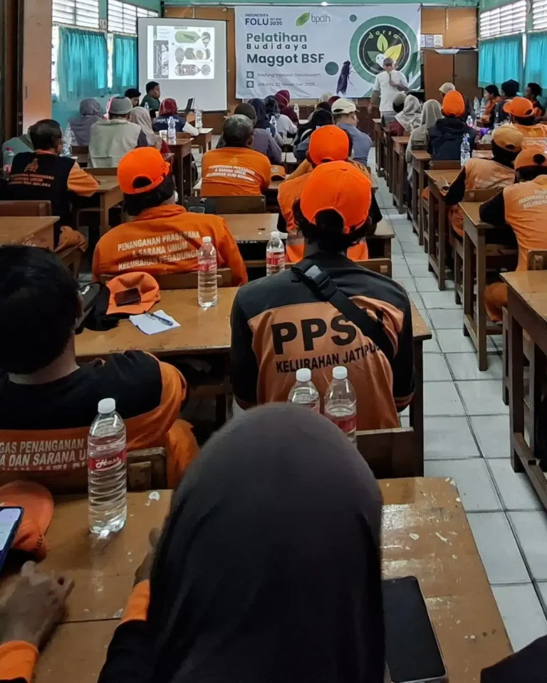Budidaya Maggot BSF - Jakarta, Darsa Maggot Farm, Budidaya Maggot Pemula, makanan maggot bsf, budidaya maggot terdekat, bahaya budidaya maggot