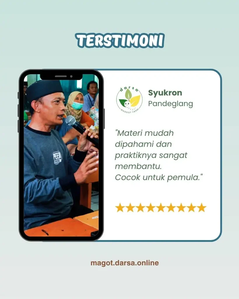budidaya maggot bsf - darsa maggot farm - jakarta barat
