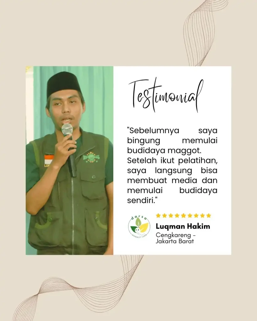 budidaya maggot terdekat, maggot bsf terdekat, darsa maggot farm