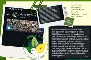 Budidaya Maggot BSF - Jakarta, Darsa Maggot Farm, Budidaya Maggot Pemula, makanan maggot bsf, budidaya maggot terdekat, bahaya budidaya maggot
