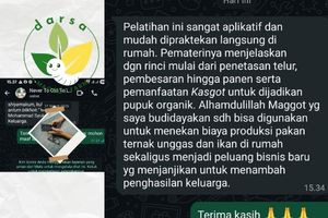 Budidaya Maggot BSF - Jakarta, Darsa Maggot Farm, Budidaya Maggot Pemula, makanan maggot bsf, budidaya maggot terdekat, bahaya budidaya maggot
